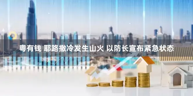 粤有钱 耶路撒冷发生山火 以防长宣布紧急状态
