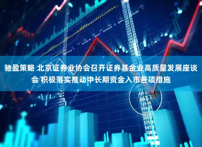 驰盈策略 北京证券业协会召开证券基金业高质量发展座谈会 积极落实推动中长期资金入市各项措施